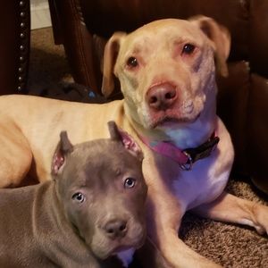 Meet your Posher, Holly